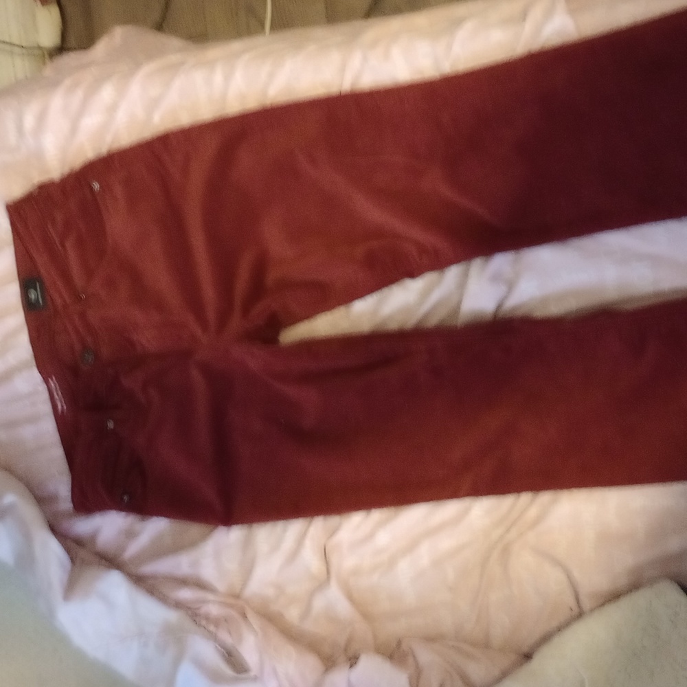 AG size 26 burgundy velvet crop flare pants.